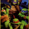 Blankets * | The Northwest Company Teenage Mutant Ninja Turtles Grungy Ninjas, Green